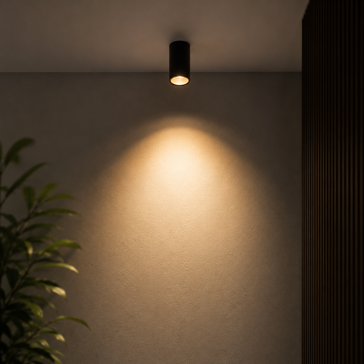 Ceiling light fixture casting a warm glow on a wall with a plant in the corner.